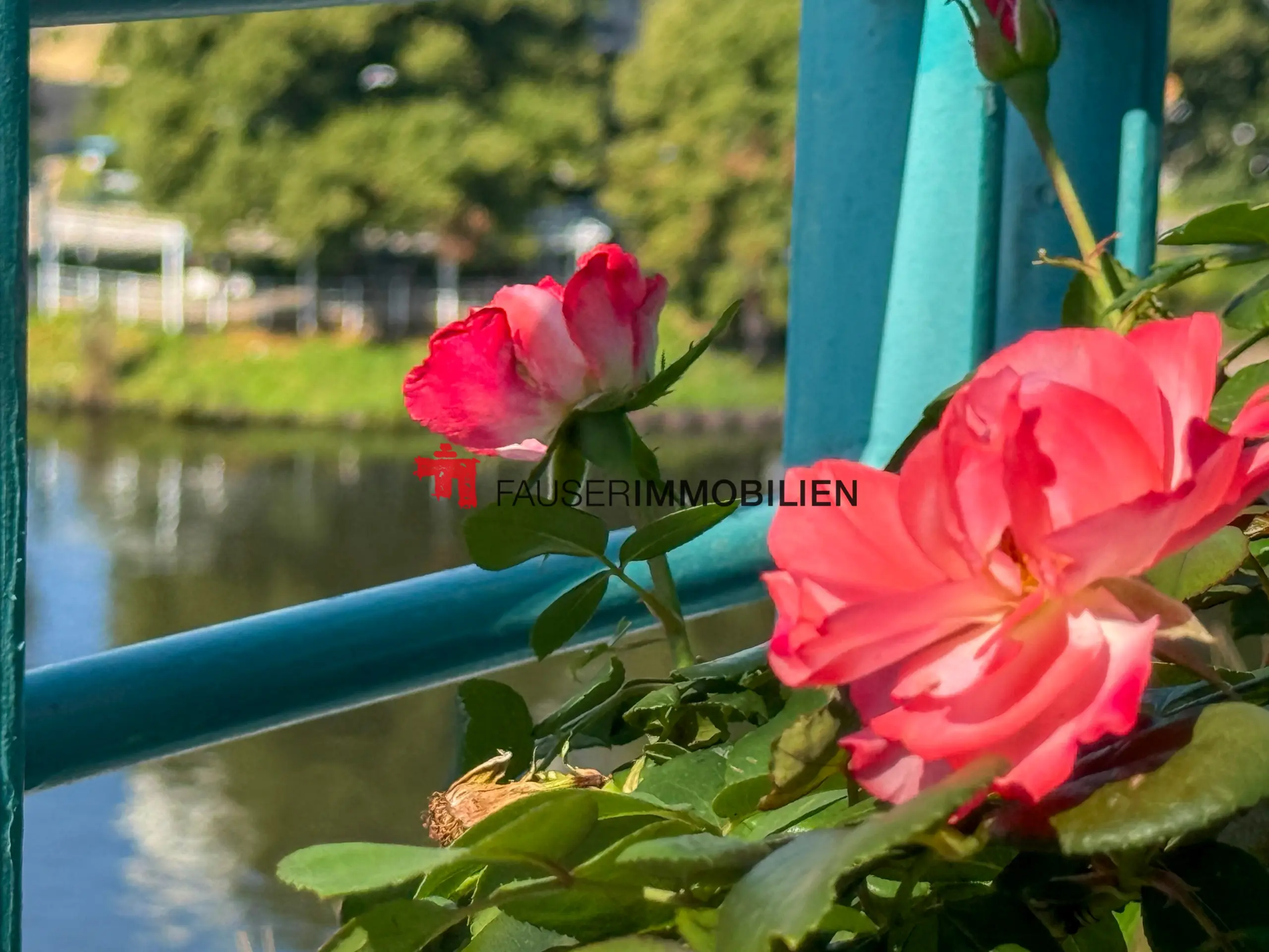 Und jeden Tag ein bisschen Wasserblick
