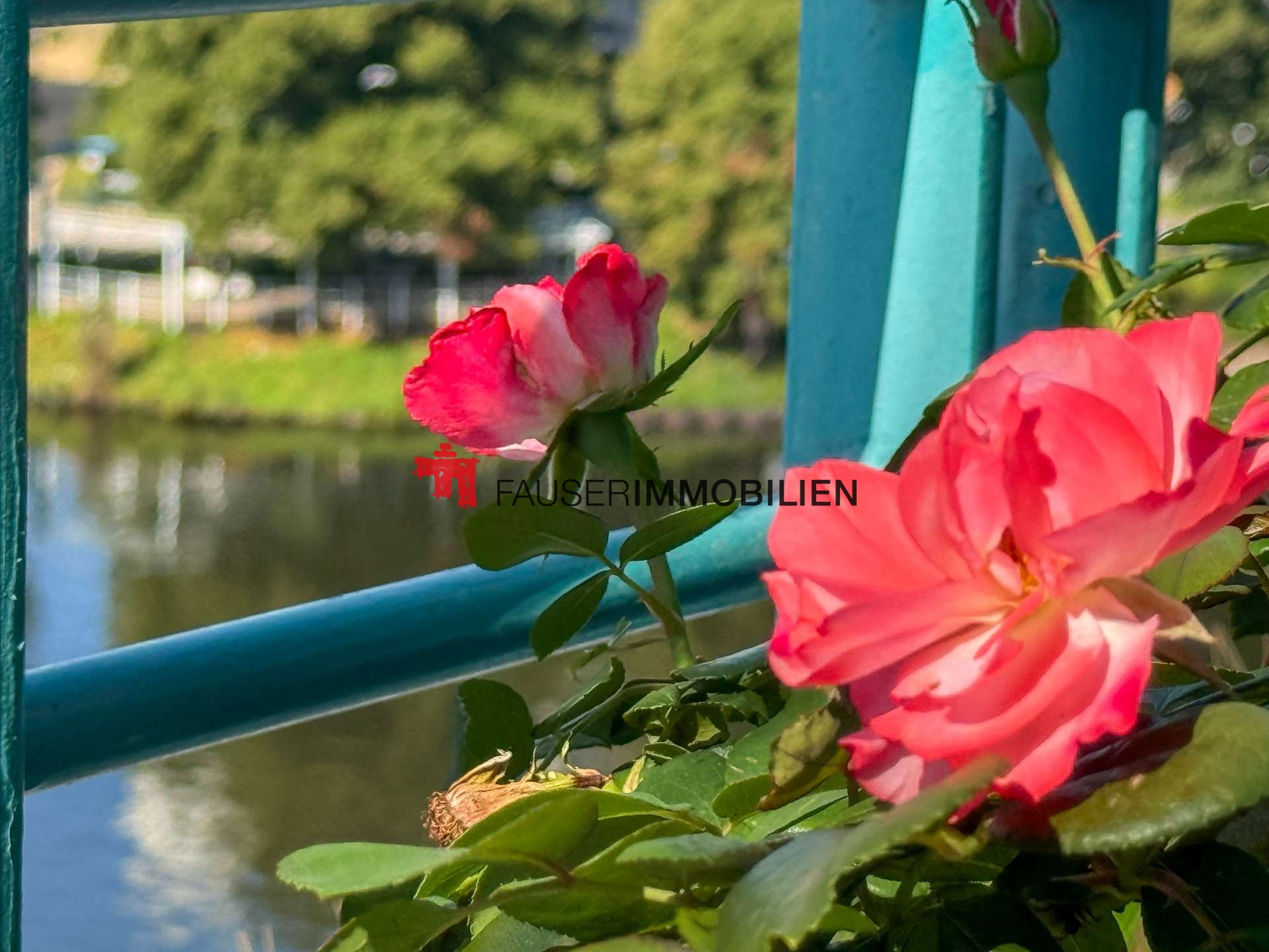 Und jeden Tag ein bisschen Wasserblick