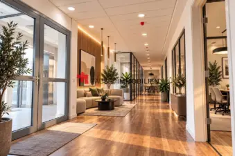 MITTE | 322 m² BEZUGSFREIE BÜROFLÄCHE FÜR MODERNE UNTERNEHMEN & WACHSENDE TEAMS- PROVISIONSFREI, 10179 Berlin, Büro/Praxis